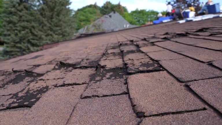 Fast & Reliable Emergency Roof Repairs in Scranton, PA